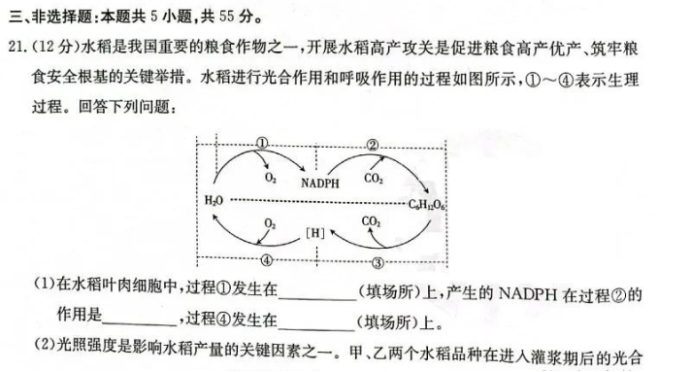 辽宁金太阳2024高三10月适应性考试生物试题及答案