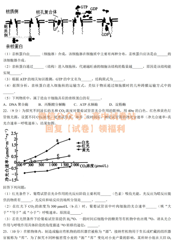 辽宁渤海大学附中2024高三第二次考试生物试题及答案解析