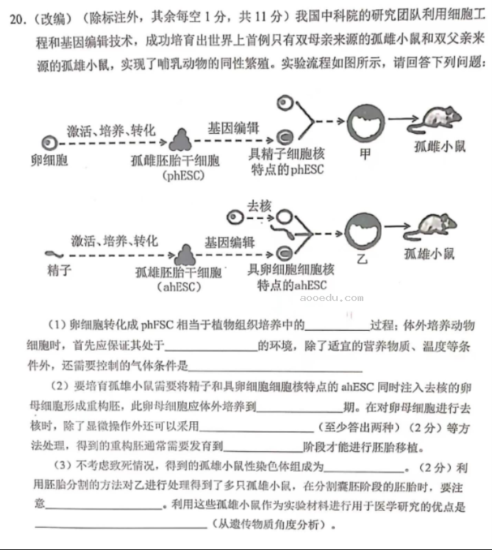 重庆七校2024高三上学期第一次月考生物试题及答案解析