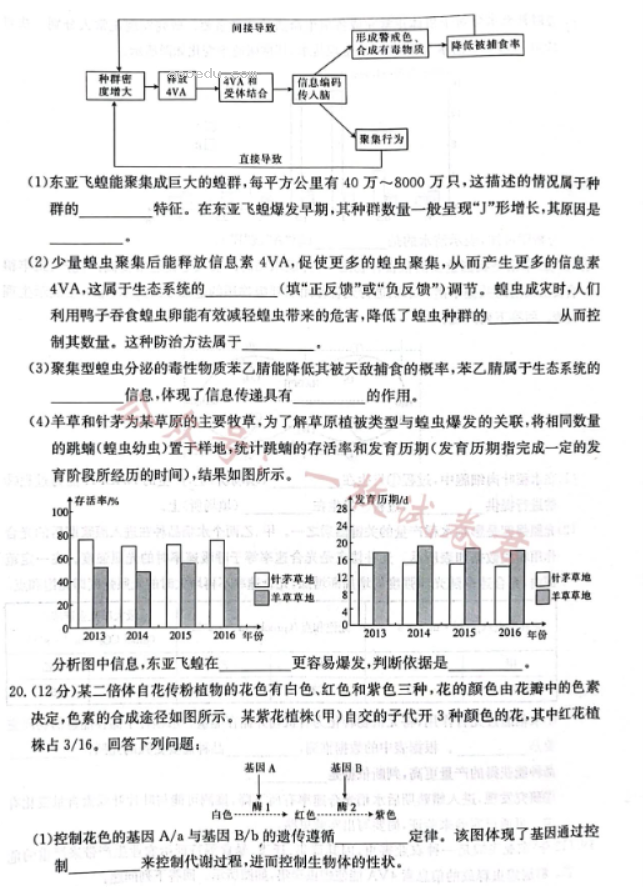 广西2024高三10月联合适应性训练检测生物试题及答案