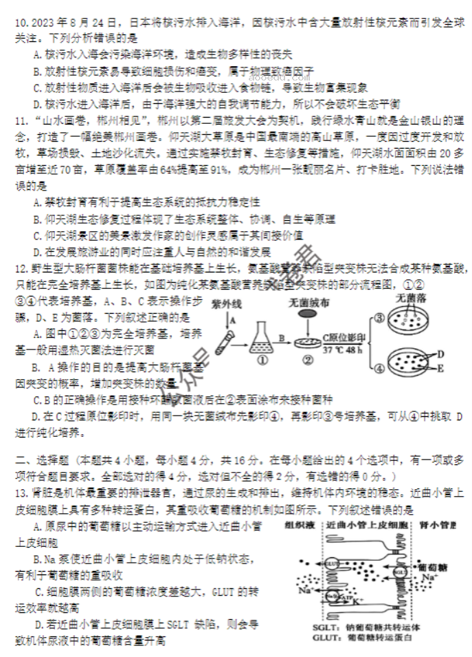 湖南郴州2024高三10月第一次质检生物试题及答案解析