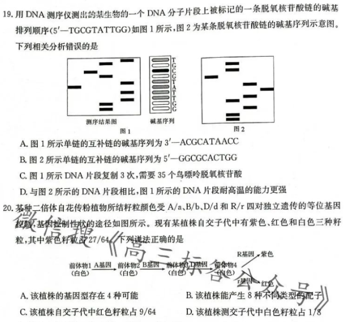 辽宁金太阳2024高三10月适应性考试生物试题及答案