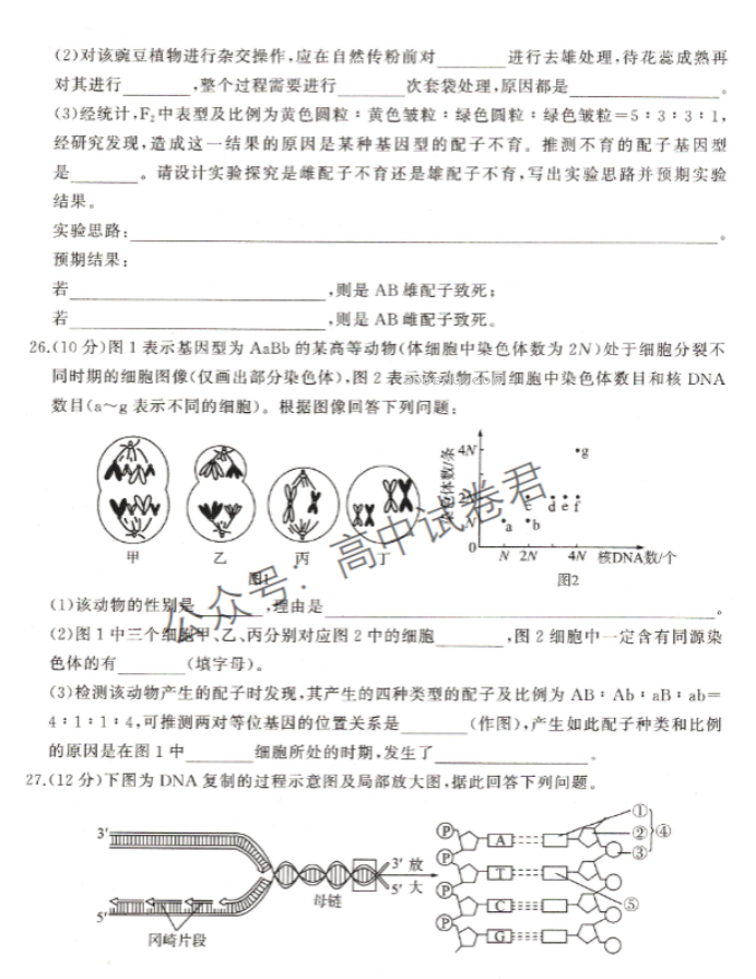 新教材百师联盟2024高三10月联考二生物试题及答案解析