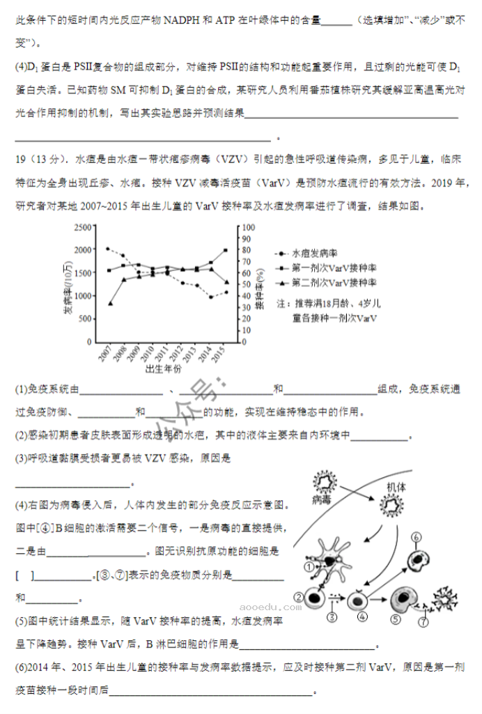 广东四校2024高三10月联考(二)生物试题及答案解析