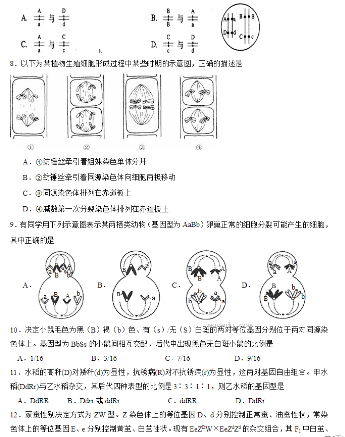 北师大实验学校2024高三第一阶段评估生物试题及答案解析