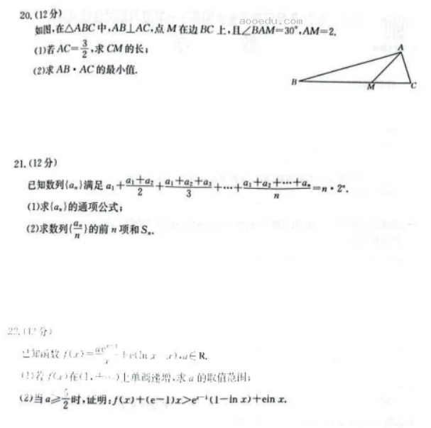 河南金太阳2024高三10月大联考数学试题及答案解析