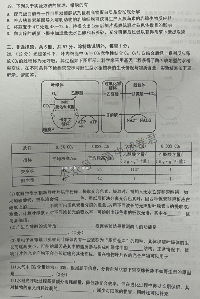 江苏泰州中学2024高三第一次质量检测生物试题及答案解析