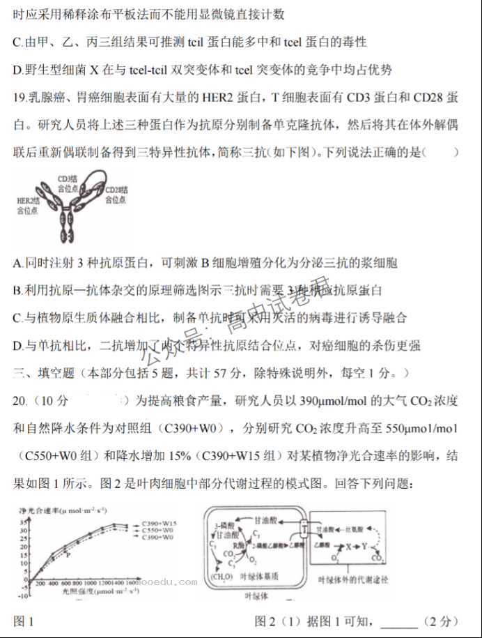 江苏淮安五校联盟2024高三10月联考生物试题及答案解析