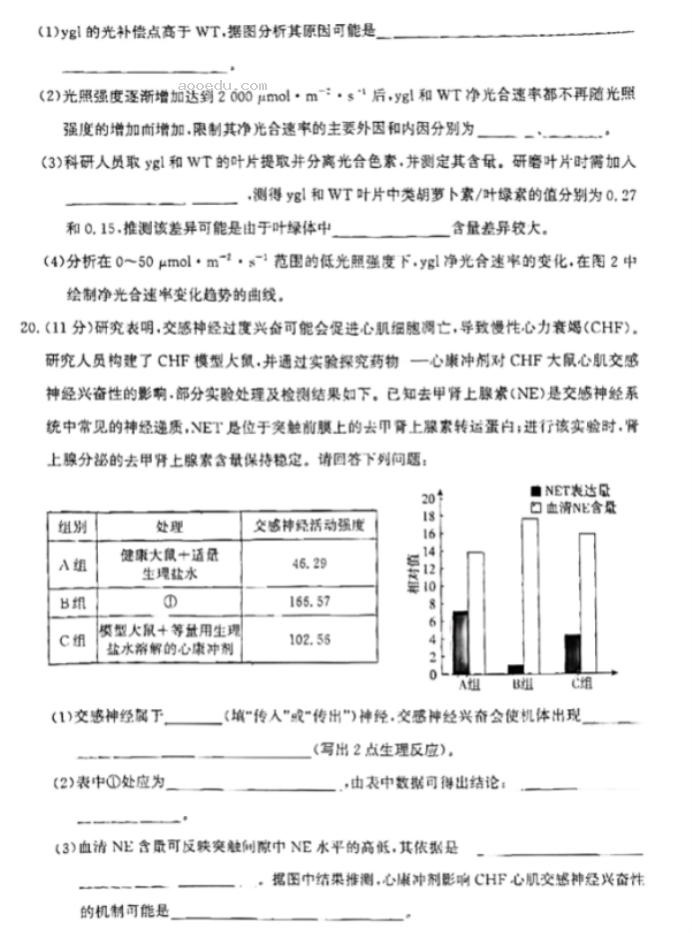 河北沧州2024高三上学期10月联考生物试题及答案解析