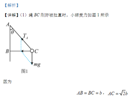 江苏常州联盟学校2024高三10月学情调研物理试题及答案