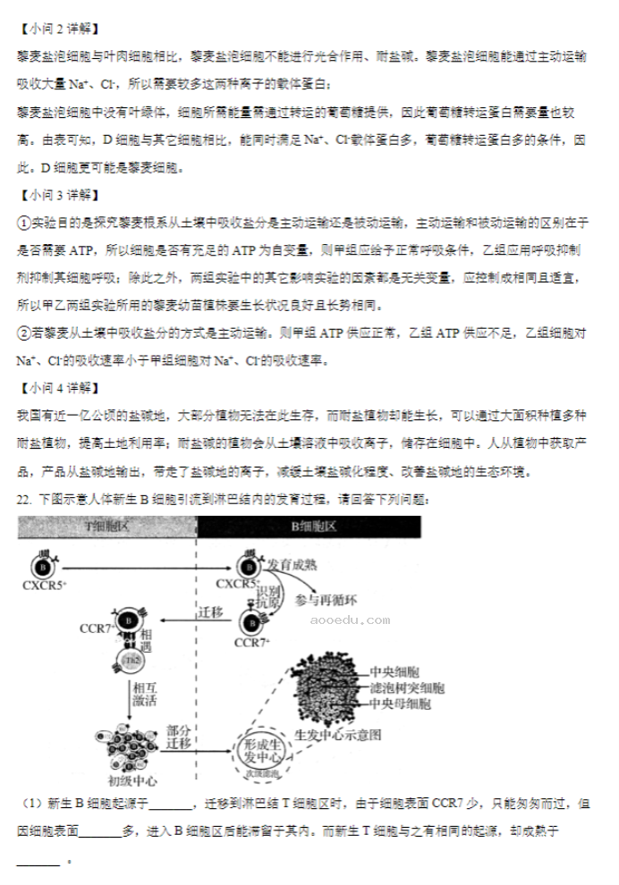 江苏常州联盟学校2024高三10月学情调研生物试题及答案