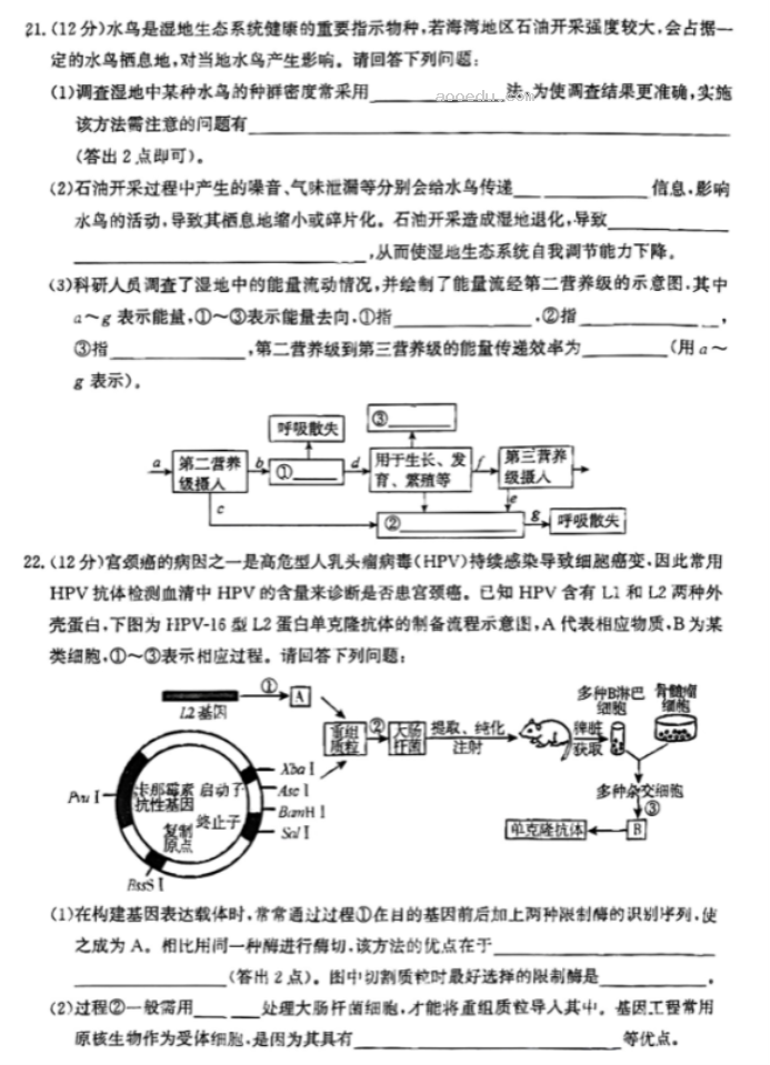 河北沧州2024高三上学期10月联考生物试题及答案解析