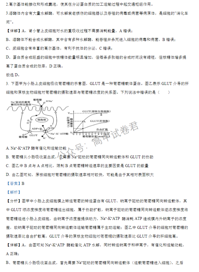 江苏扬州中学2024高三上学期10月月考生物试题及答案解析