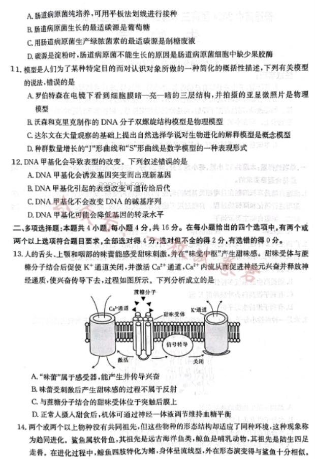 广西2024高三10月联合适应性训练检测生物试题及答案