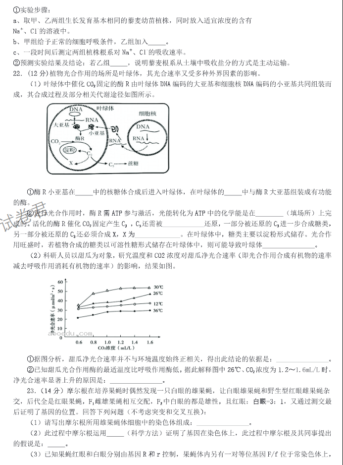 山东中昇2024高三10月大联考生物试题及答案解析