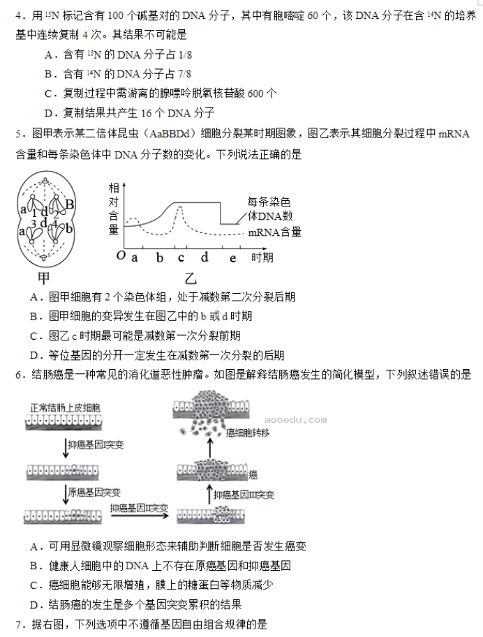 北师大实验学校2024高三第一阶段评估生物试题及答案解析