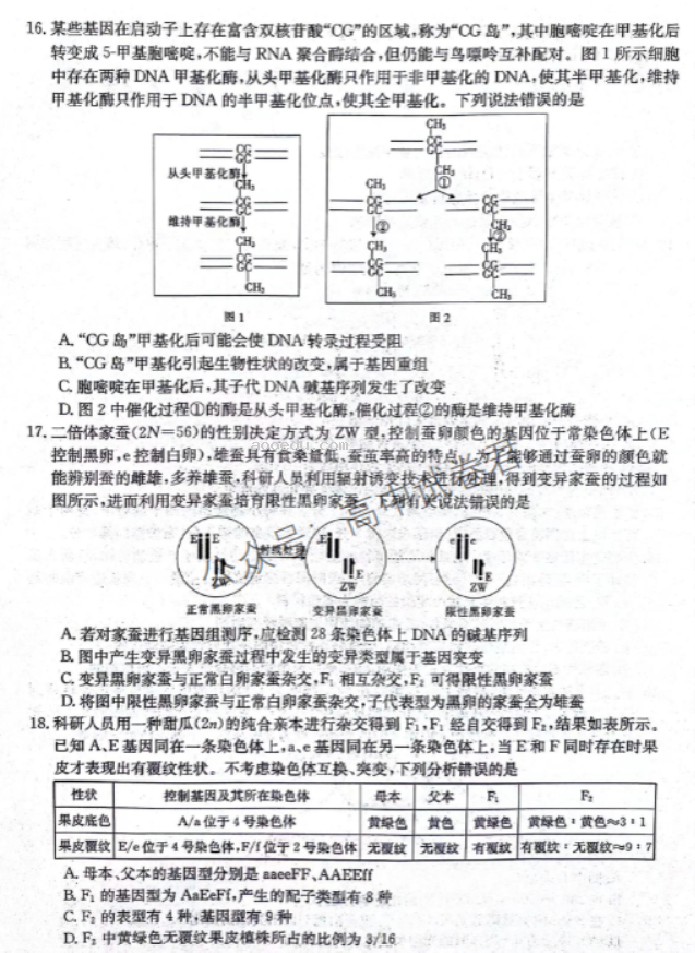 河北邢台五岳联盟2024高三第四次月考生物试题及答案解析