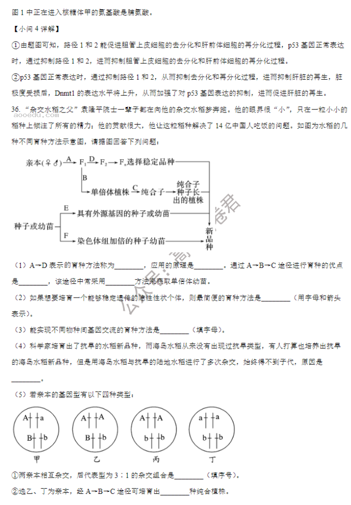 山西大学附中2024高三上学期10月月考生物试题及答案解析