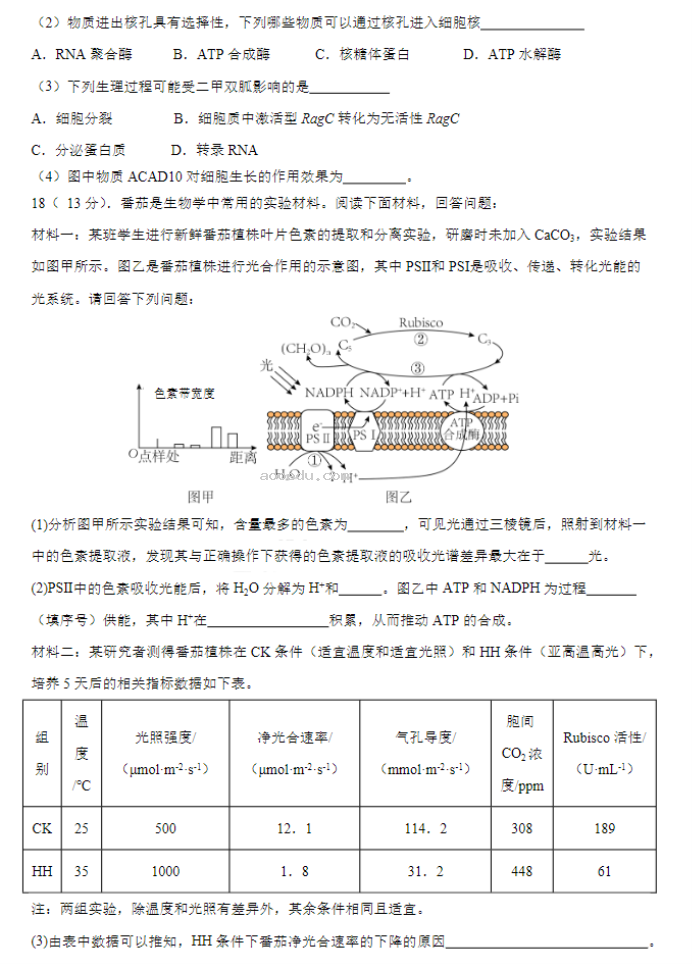 广东四校2024高三10月联考(二)生物试题及答案解析