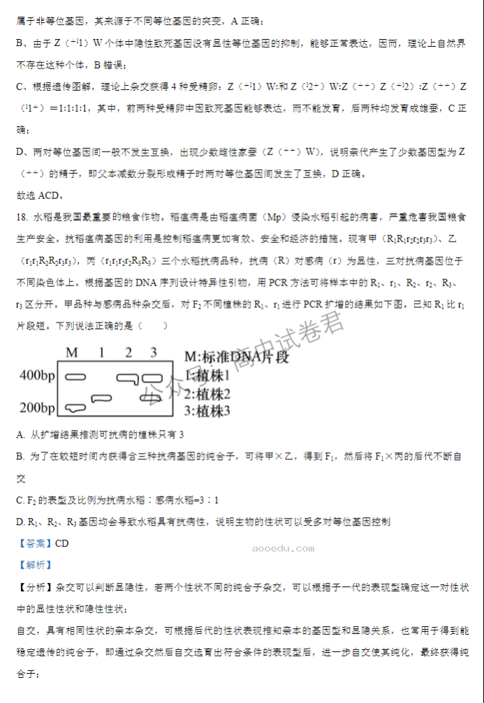 江苏扬州中学2024高三上学期10月月考生物试题及答案解析