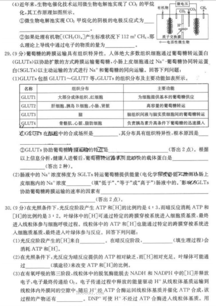 四省八校(川贵云桂)2024高三10月联考理综试题及答案解析