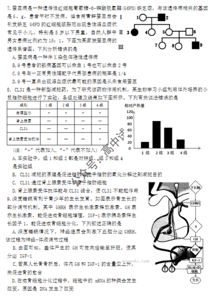 湖南郴州2024高三10月第一次质检生物试题及答案解析