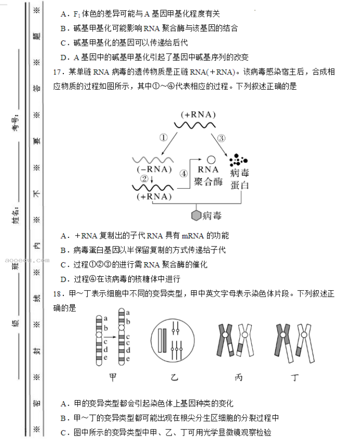 北师大实验学校2024高三第一阶段评估生物试题及答案解析