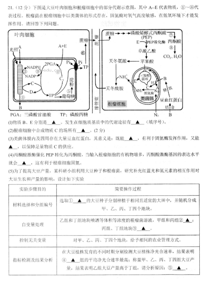 江苏高邮2024高三10月学情调研测试生物试题及答案解析