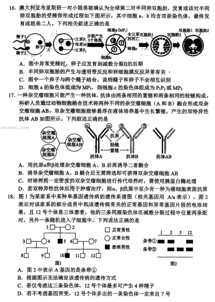 湖北腾云联盟2024高三10月联考生物试题及答案解析