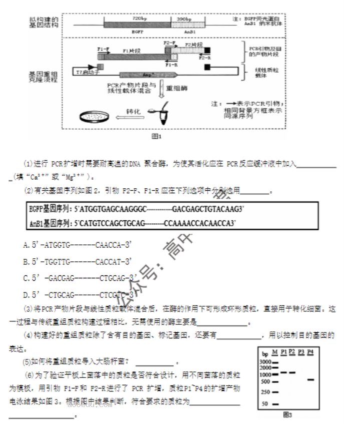 湖南郴州2024高三10月第一次质检生物试题及答案解析