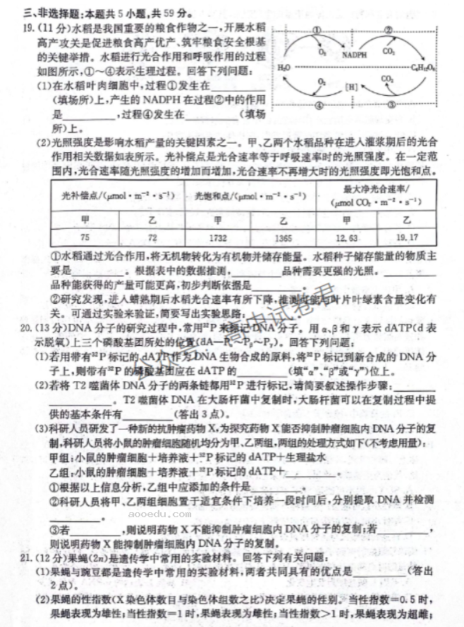 河北邢台五岳联盟2024高三第四次月考生物试题及答案解析