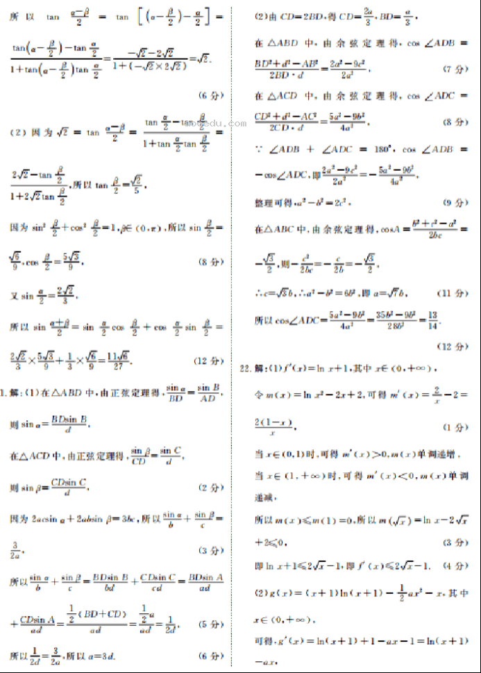 广东衡水金卷2024高三10月大联考数学试题及答案解析