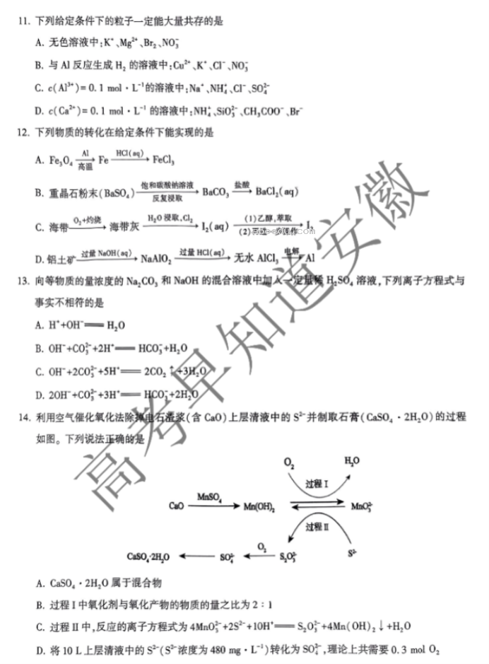 安徽省鼎尖名校2024高三10月联考化学试题及答案解析