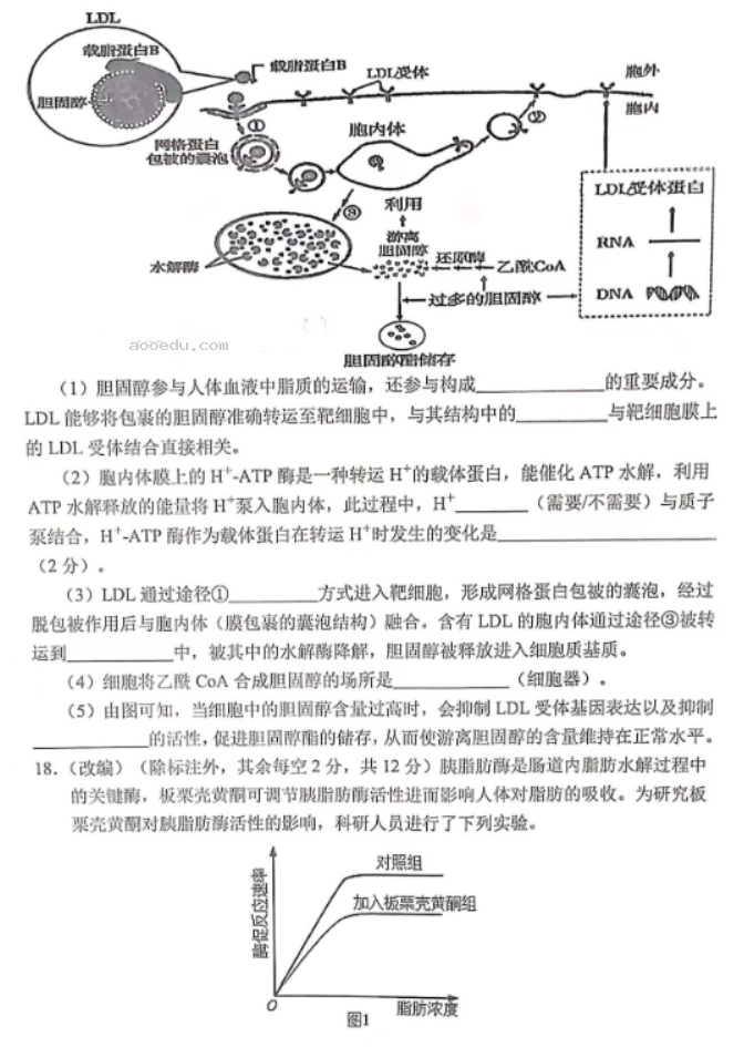 重庆七校2024高三上学期第一次月考生物试题及答案解析