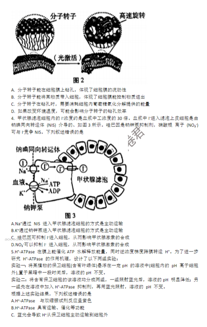 重庆巴蜀中学2024高考适应性月考三生物试题及答案解析