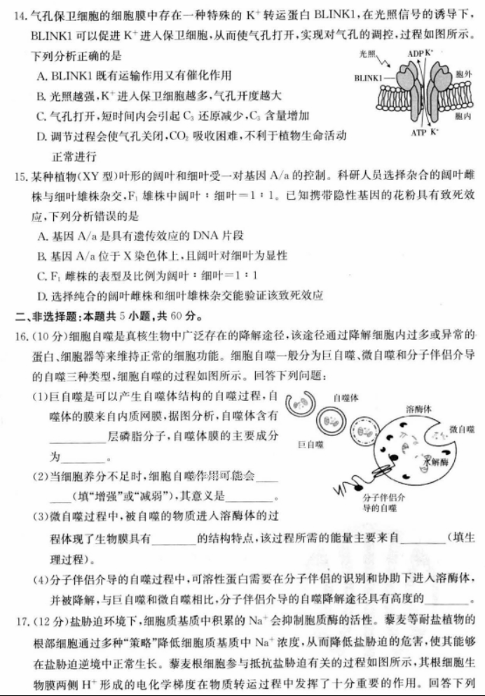 江苏广东福建2024高三金太阳10月百万联考生物试题及答案