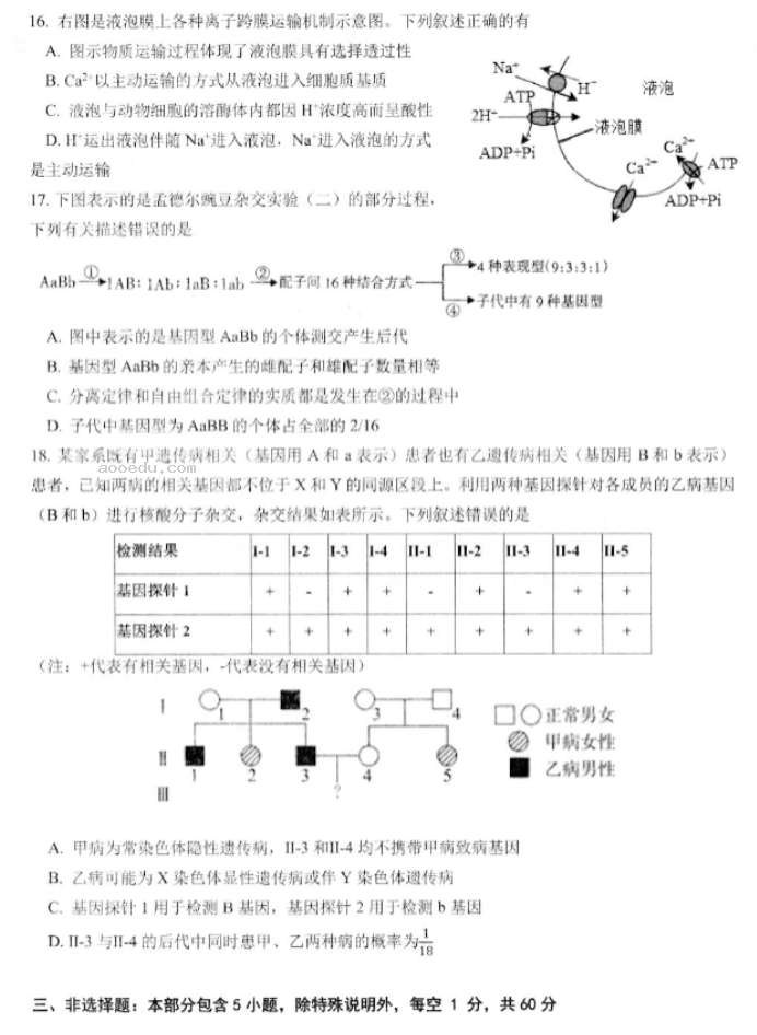 江苏高邮2024高三10月学情调研测试生物试题及答案解析