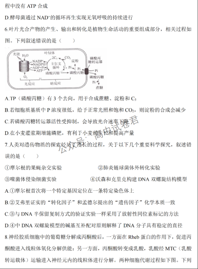 江苏淮安五校联盟2024高三10月联考生物试题及答案解析