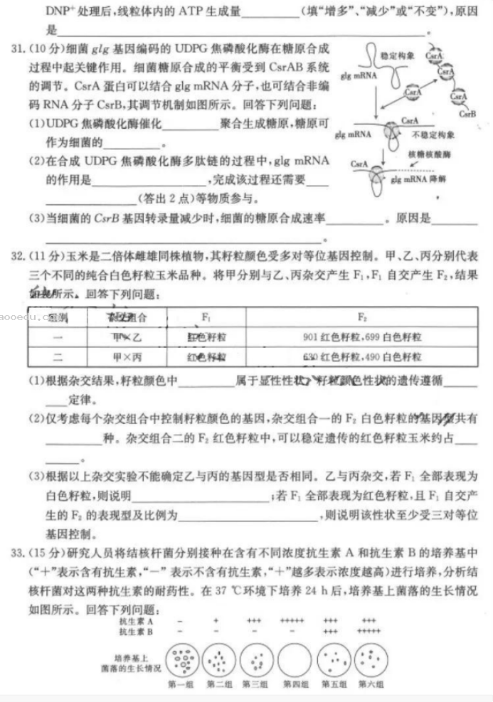 四省八校(川贵云桂)2024高三10月联考理综试题及答案解析