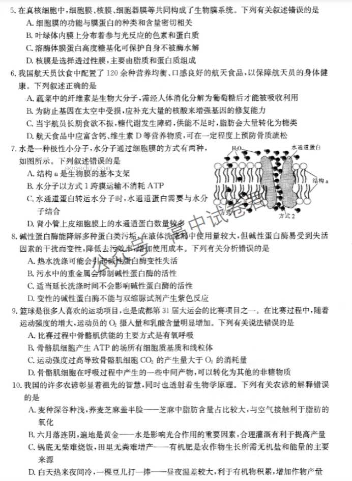 山西金太阳优创名校2024高三10月联考生物试题及答案解析