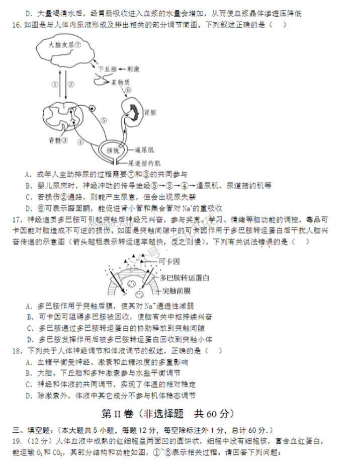 江苏盐城五校2024高二10月联考生物试题及答案解析