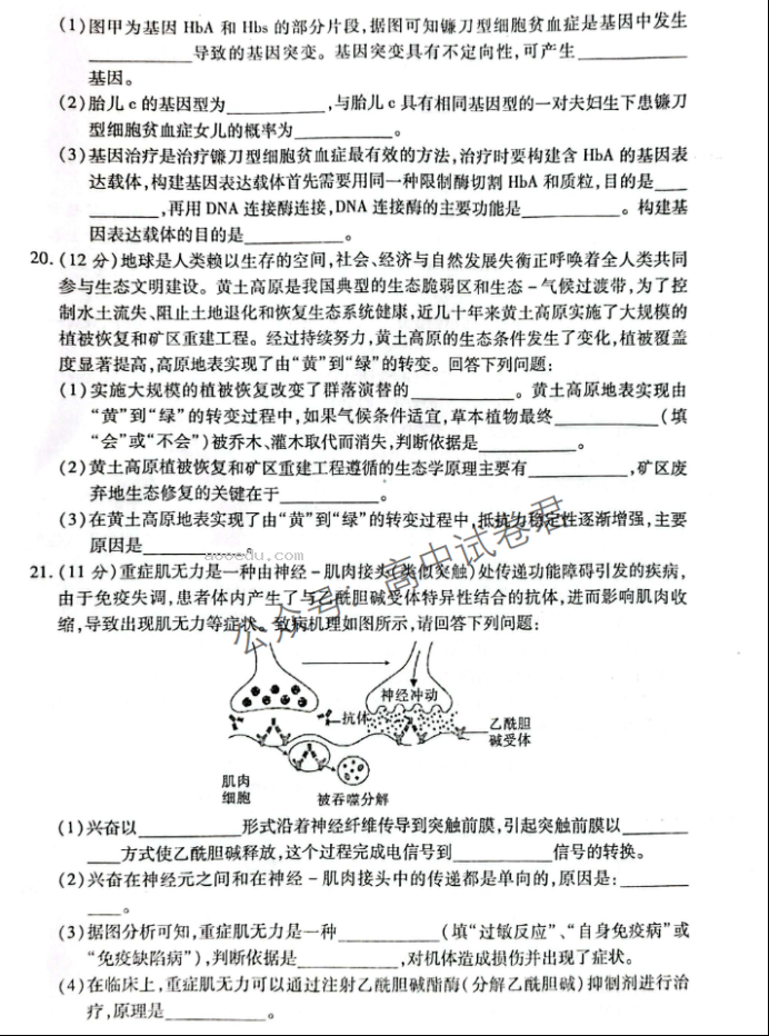 广西2024新高三毕业班10月摸底测试生物试题及答案解析