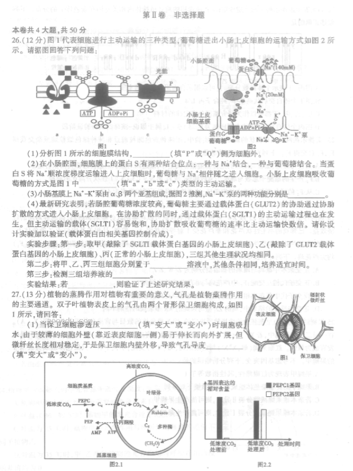 河南信阳2024高三第一次教学质量检测生物试题及答案解析