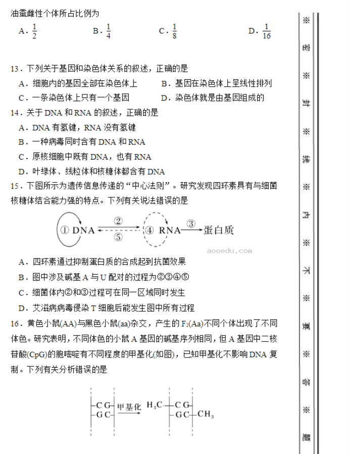 北师大实验学校2024高三第一阶段评估生物试题及答案解析