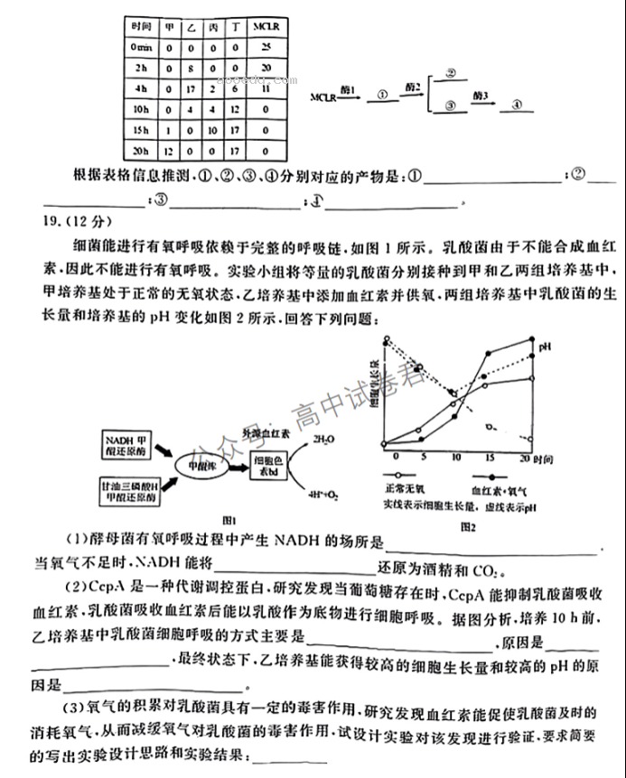 广东衡水金卷2024高三10月大联考生物试题及答案解析