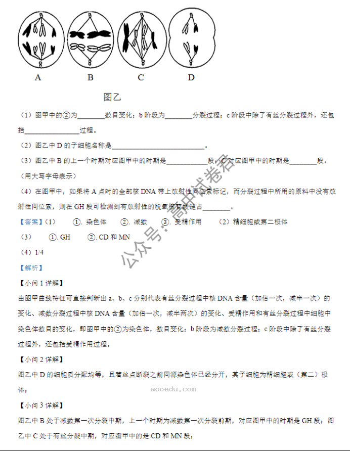 山西大同一中2024高三上学期10月月考生物试题及答案解析