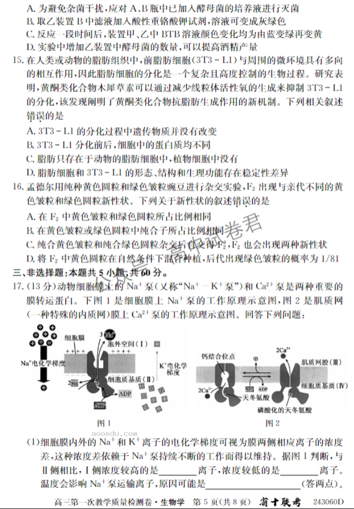 安徽合肥一中2024高三10月月考生物试题及答案解析