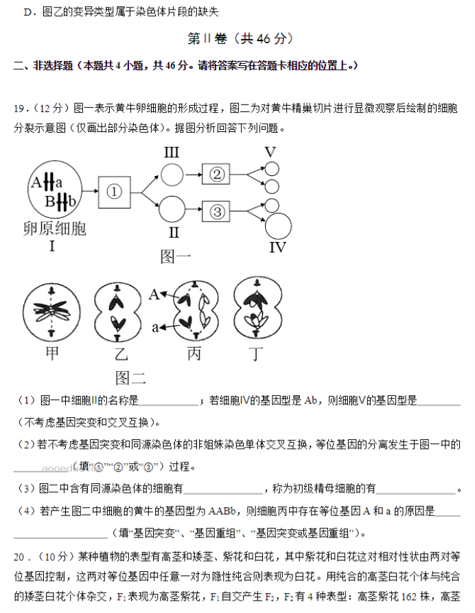 北师大实验学校2024高三第一阶段评估生物试题及答案解析