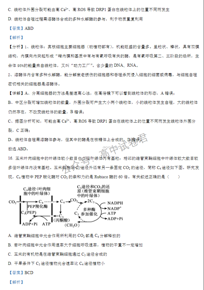 江苏扬州中学2024高三上学期10月月考生物试题及答案解析