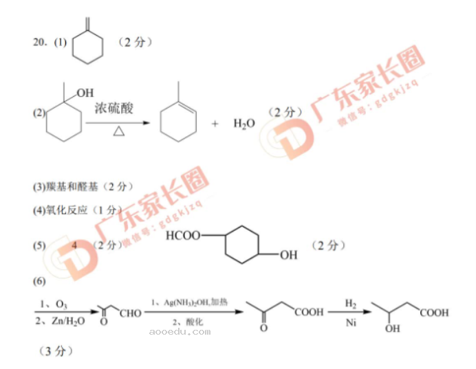 广东四校2024高三10月联考(二)化学试题及答案解析